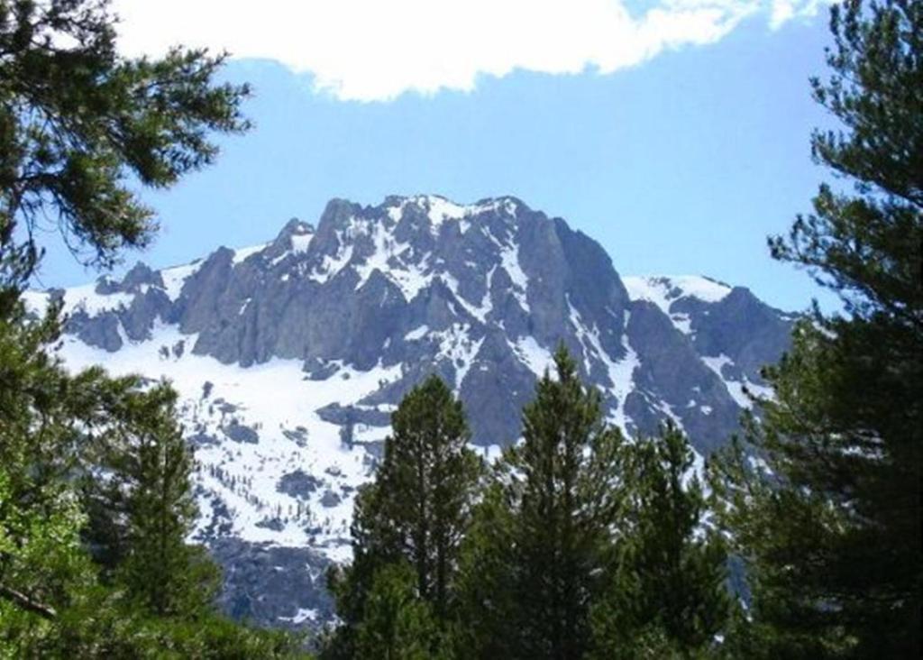 Birch Creek #1 - 1Br/1Ba - Down Canyon June Lake Luaran gambar