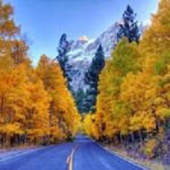 Birch Creek #1 - 1Br/1Ba - Down Canyon June Lake Luaran gambar